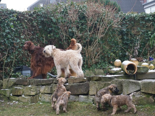 Wir hatten Besuch von Mylo