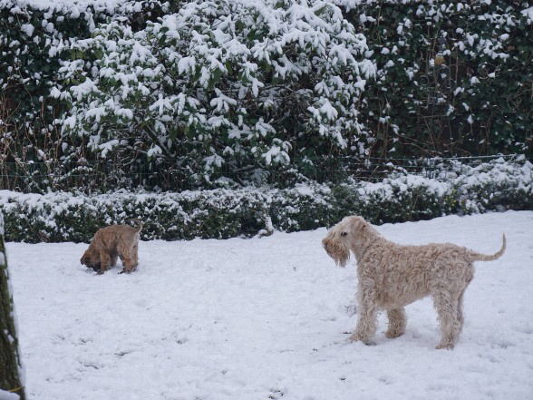 mit Oma Tr L im Schnee